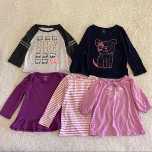 Bundle 5 x 2T girl tops in pink purple blue